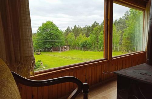 Mengen Ski Chalet | Petunya Orman Evi