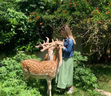 Polonezkoy Resort | Polonezköy Country Club & Accommodation in the Wildlife Park!