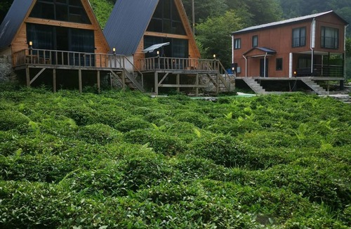 Ayder Ski Chalet | Roadside bungalov