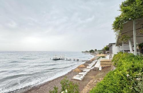 Ayvacik Bed & Breakfast | Sazlı Shores