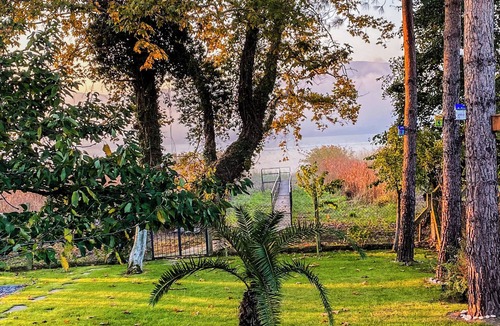 Kartepe Villa | Shore of Sapanca Lake: Çatı Villa Lakehouse