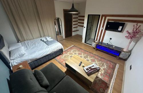 Sur Hotel | Star Mansion