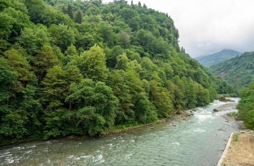 Ayder Hotel | VALLEY SUiT OTEL