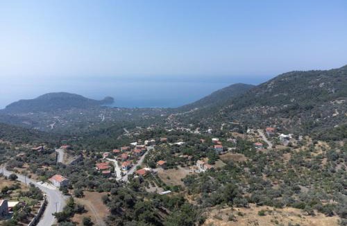 Mesudiye Villa | Villa Olive Garden