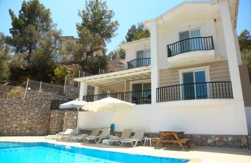 Ortaca Villa | Villa Sarisli 1