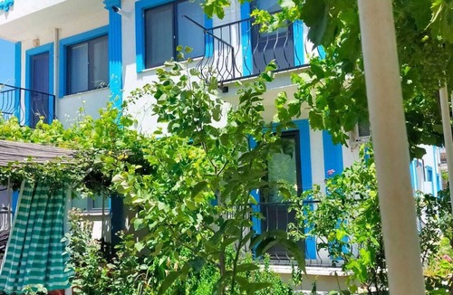 Geyikli Bed & Breakfast | Zeytin Cicegi Pansiyon