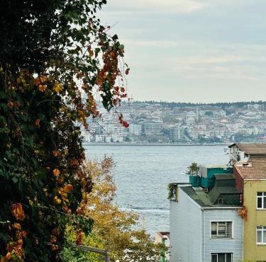 Дуплекс с видом на Босфор in Istanbul