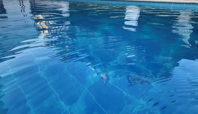 1+1 Apartment with Swimming Pool
