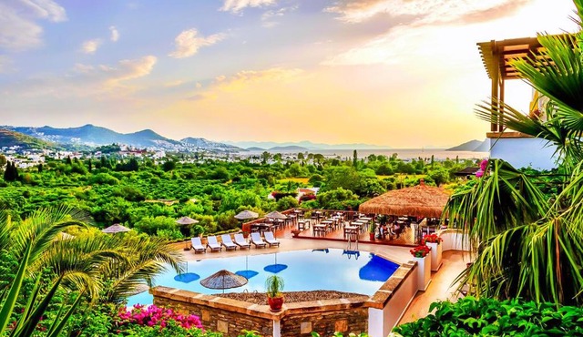 4reasons hotel + bistro | 12+