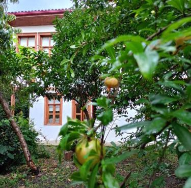 Asiye Hanım Konağı