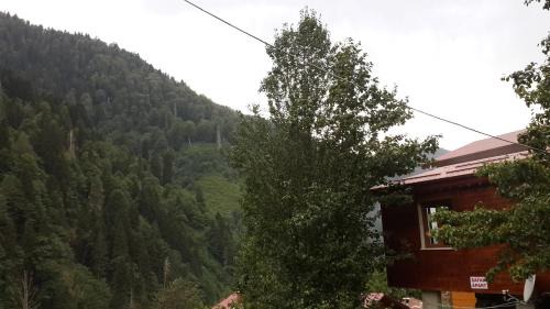 AYDER ŞAFAK Apart in Camlihemsin