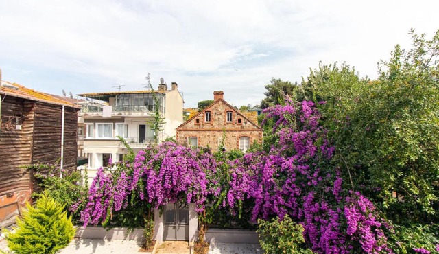 Büyükada Garden Apartments - 5 Min to Ferry in Adalar