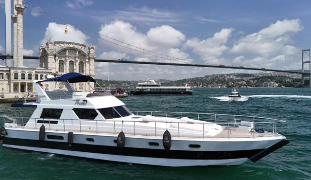 Barans in Istanbul