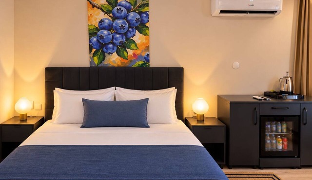 Blueberry Inn Hotel in Antalya