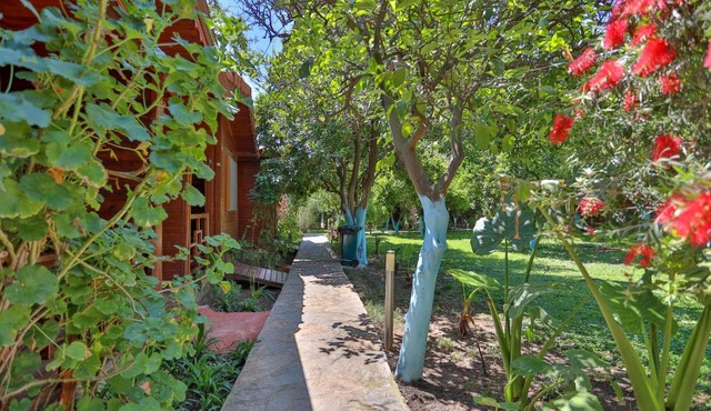 Cinderella Pension & Bungalow in Cıralı