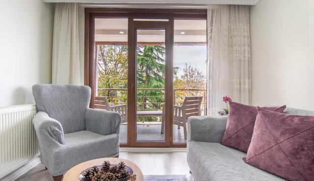 Cozy 1BR & Sofabed with Two Inviting Balconies