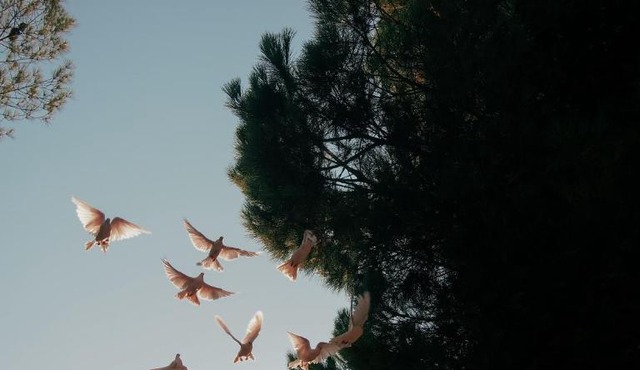 Kairos Valley Wellness & Longevity in Datca