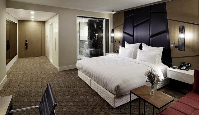 Pullman Istanbul Airport and Convention Center Hotel in Istanbul