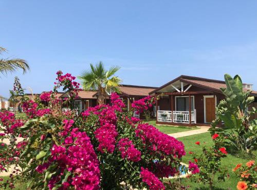 Sedir Park - Beach Bungalow