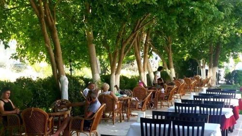 Selina Hotel