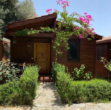 Suzi'nin Bahçesi Bungalov Evler in Datca
