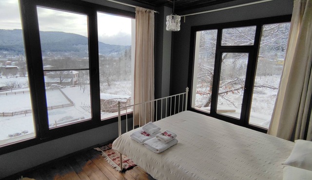 Torrhebia Dag Evi