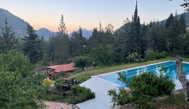 Trinitys Forest Bungalows