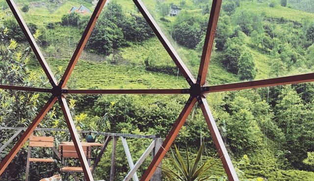 Valley Domes