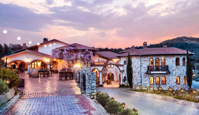 VINIFERA VINEYARDS HOTEL