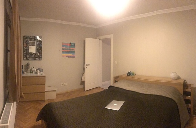 Cozy and spacious apartment