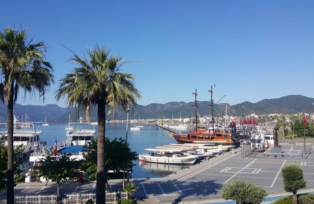 Trea Homes Marina 