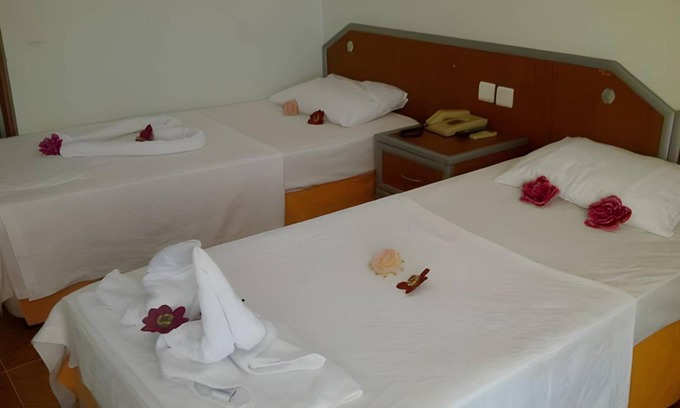 Selcuk Bed & Breakfast | 22 m² Bed and breakfast ∙ 3 guests