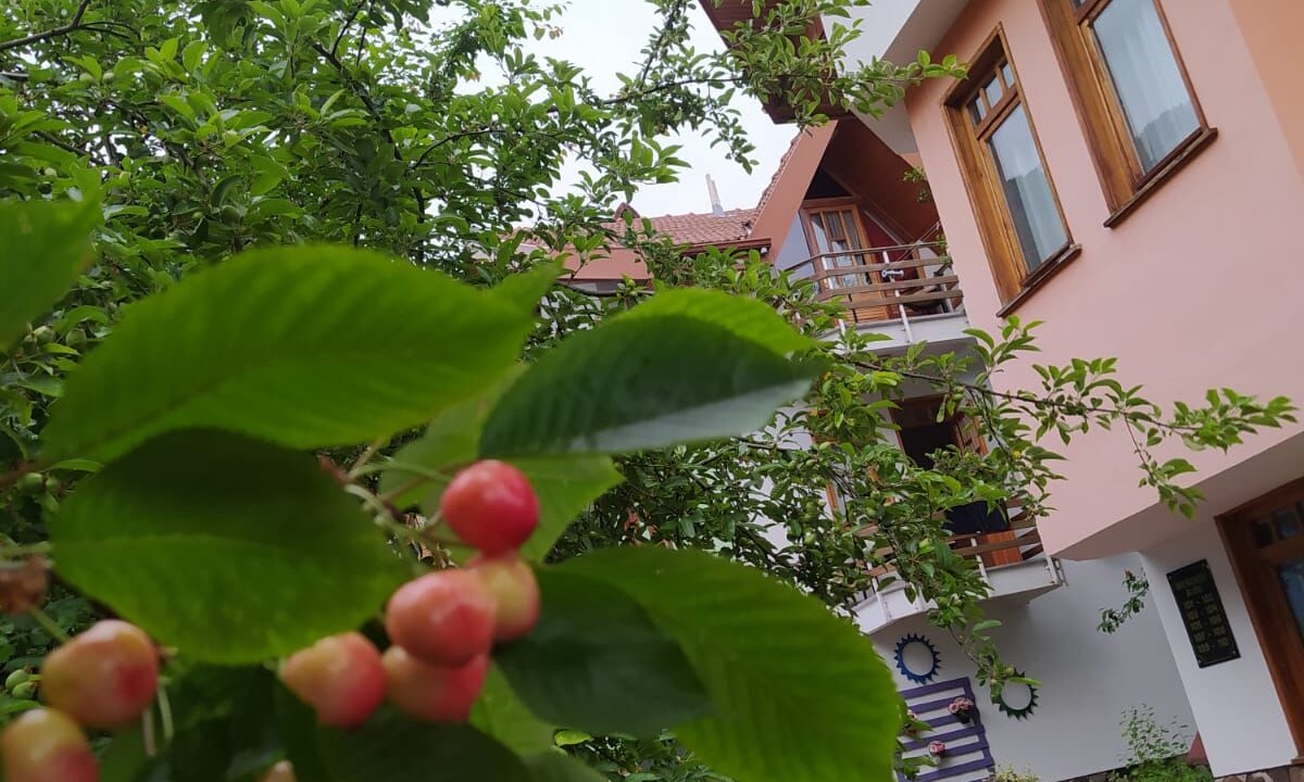 Karacasu Hotel | Bolu Yildiz Hotel