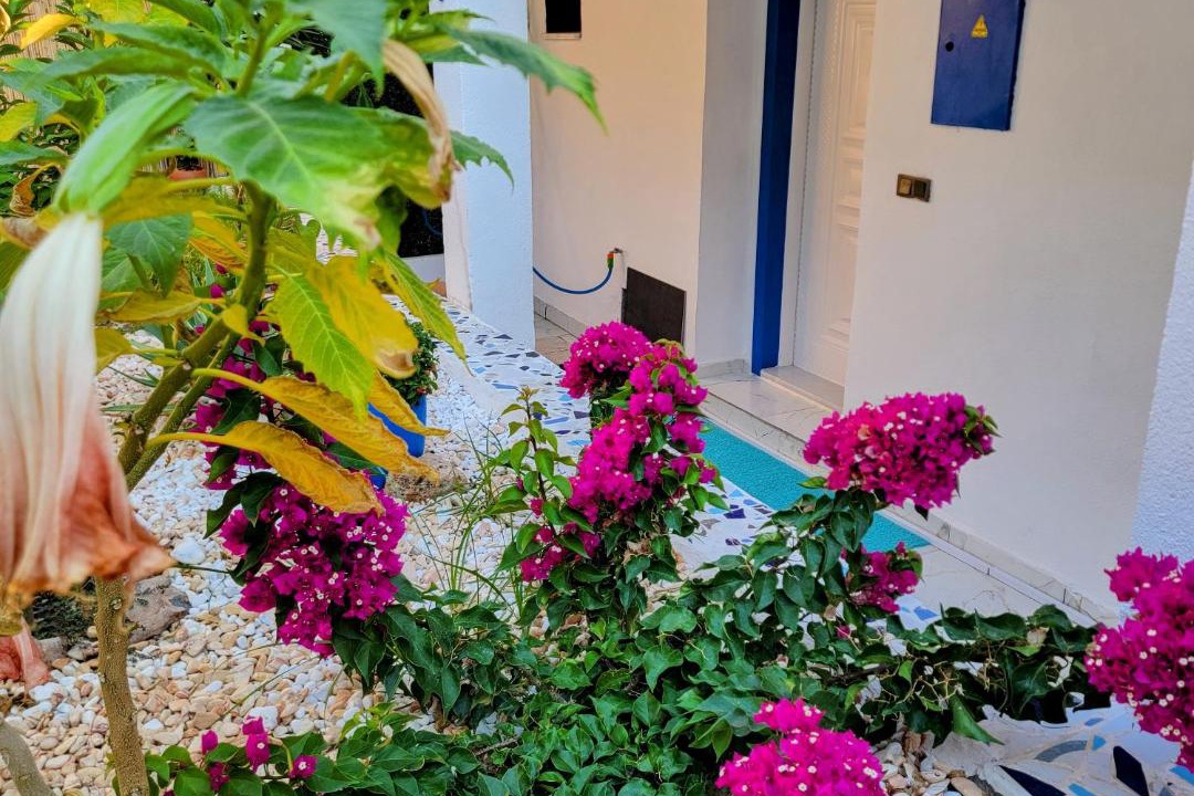 Dalaman Apartment | Lemon Tree Villa