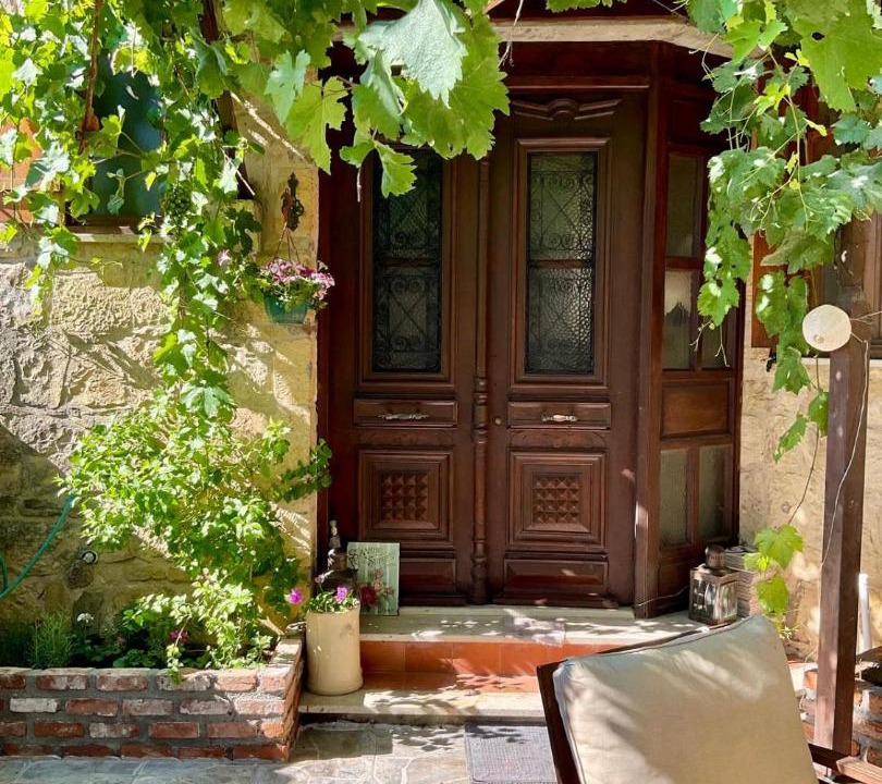 Yesilyurt Koyu House | Twin houses Mount Ida