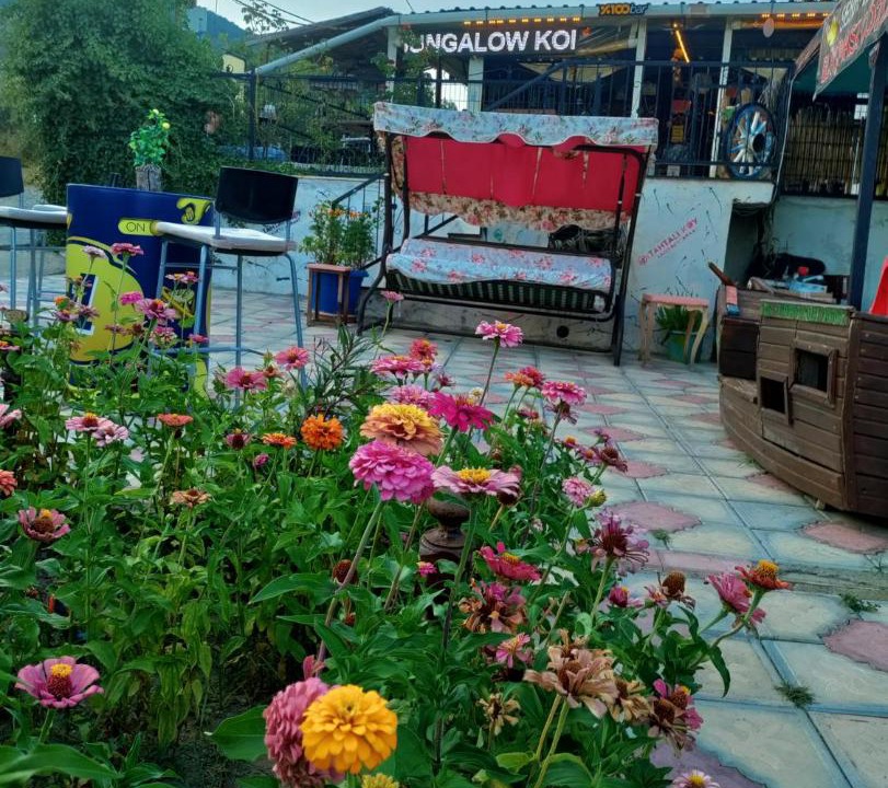 Edremit Bed & Breakfast | İda Tahtalıköy Bungalov