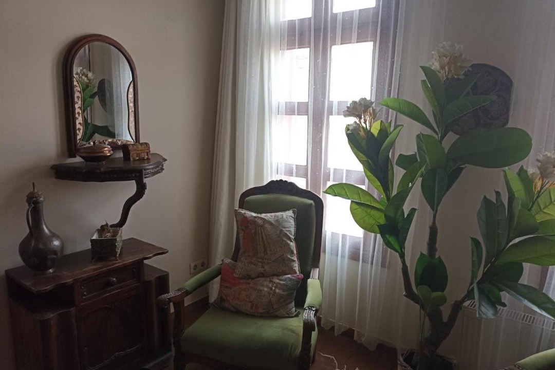 Ayvalik City Center House | Chez Nebahat Boutique