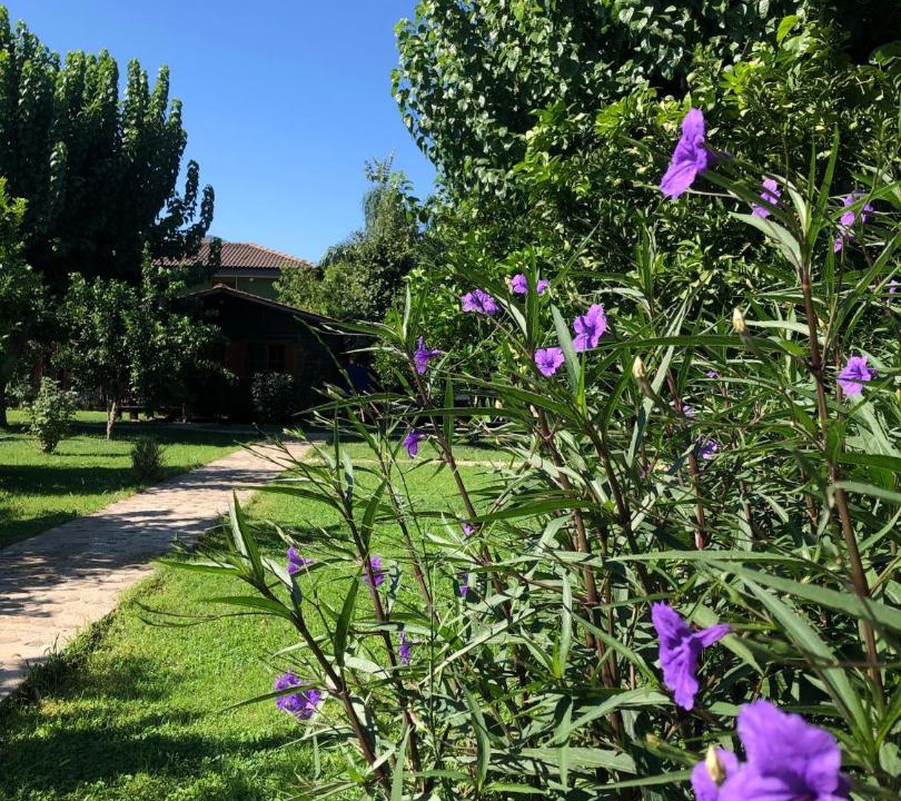 Cirali Resort | Ozge Bungalow Hotel
