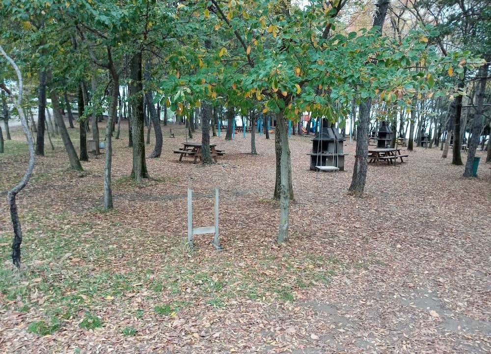 Photo of Others in Sarigerme