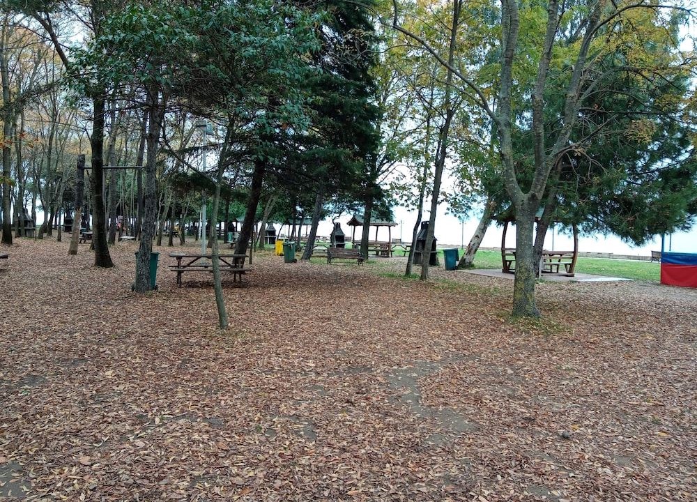 Photo of Others in Sarigerme