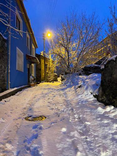 Photo of Others in Kars