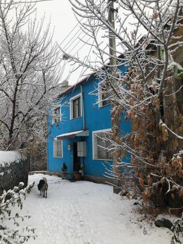 Photo of Others in Kars