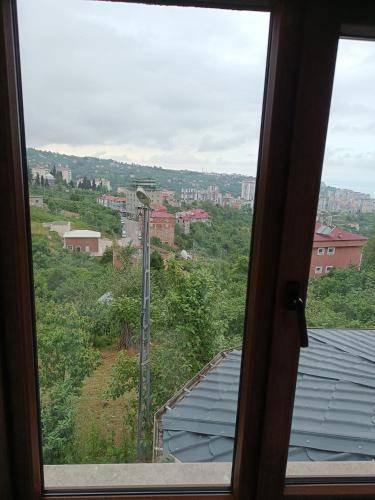 Photo of Others in Yomra