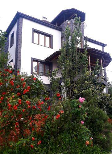 Photo of Buildings in Yomra