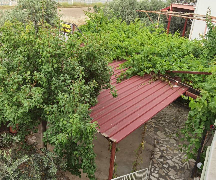 Photo of Others in Fethiye