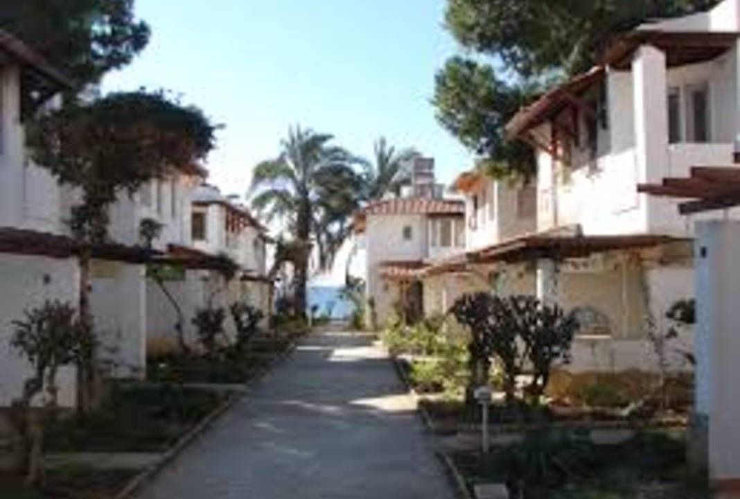 Photo of Others in Avsallar