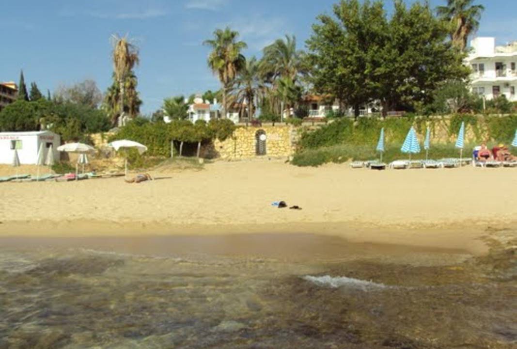 Photo of Others in Avsallar