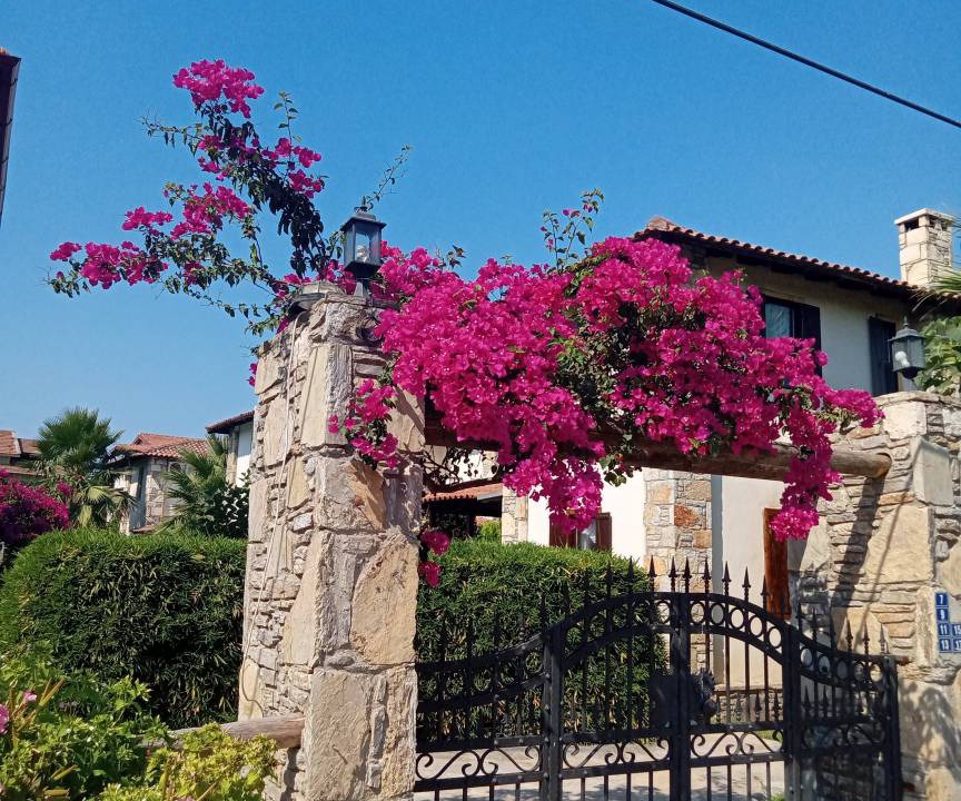 Photo of Others in Dalyan