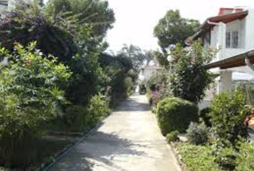 Photo of Others in Avsallar