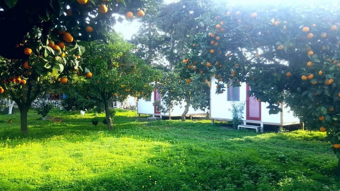 Photo of Others in Turgutreis